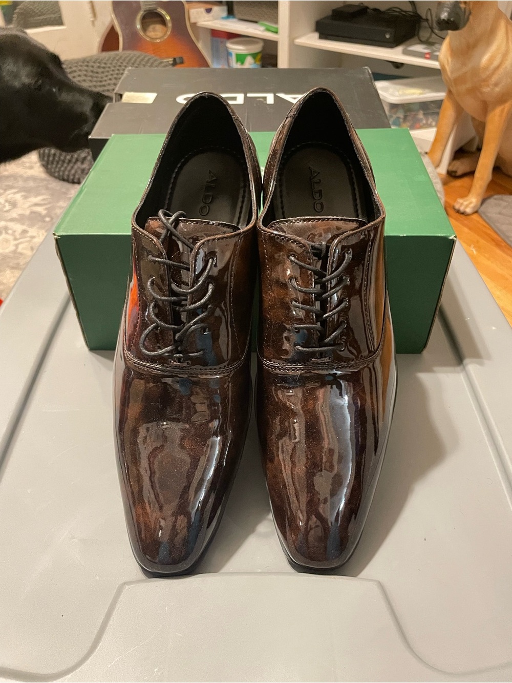 Aldo Men's Dark Brown Patent Lace-Up Dress Shoes